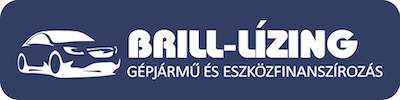 brill-lizing logo
