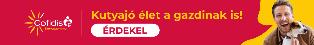 Kutyaszemmel